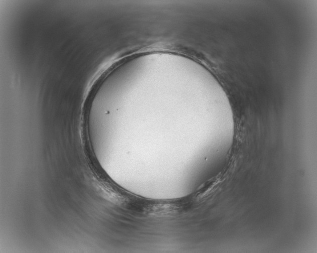 X0000064040152200602171653