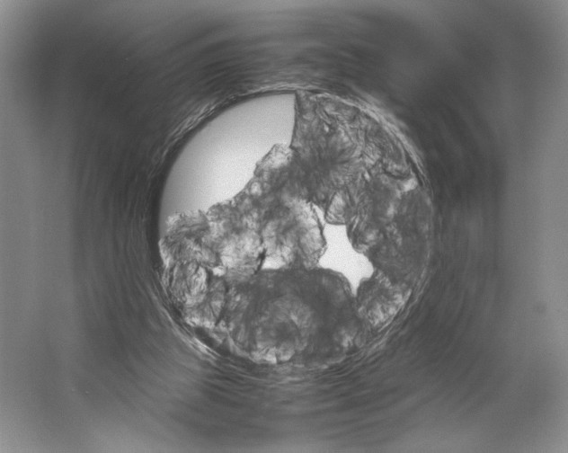 X0000064040153200602171653