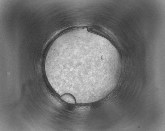 X0000064040155200602171653