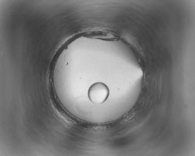 X0000064040156200602171653