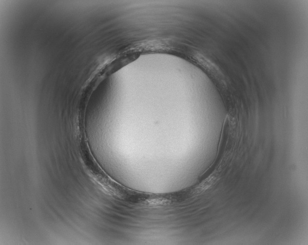 X0000064040158200602171653