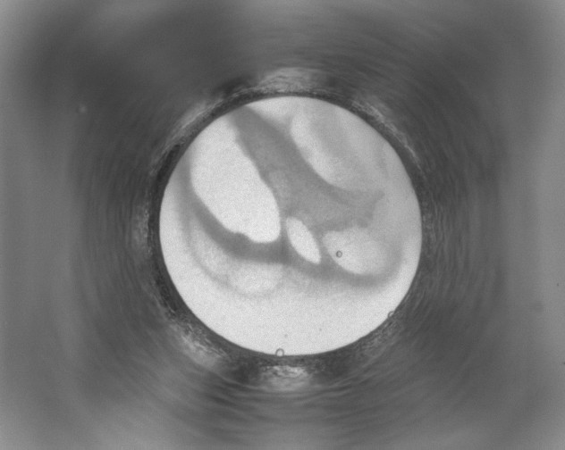 X0000064040159200602171653