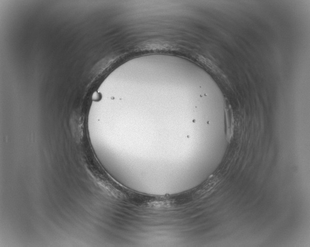 X0000064040160200602171653