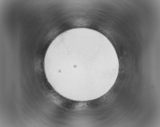 X0000064040162200602171653