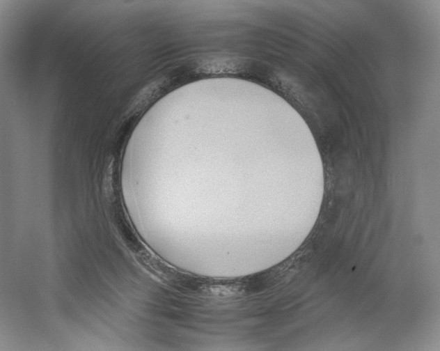 X0000064040163200602171653