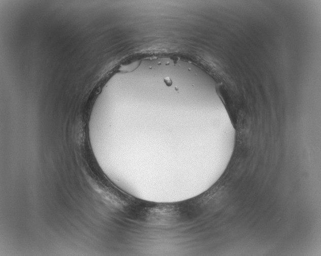 X0000064040164200602171653