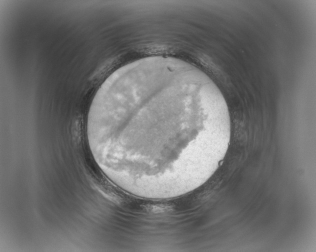 X0000064040165200602171653