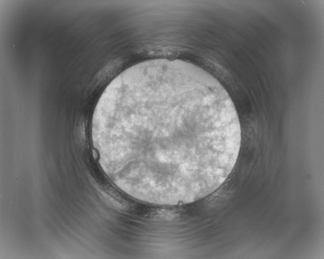 X0000064040166200602171653