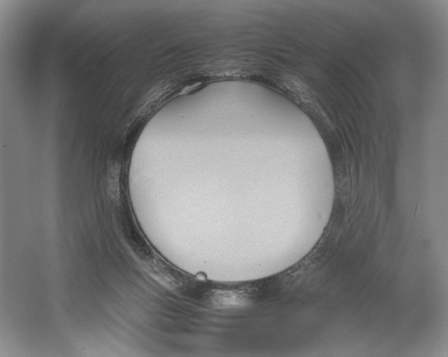 X0000064040167200602171653