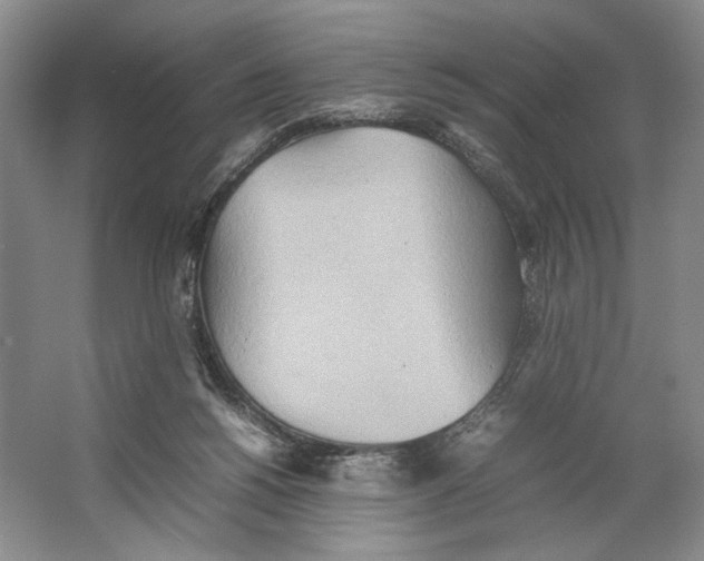 X0000064040168200602171653