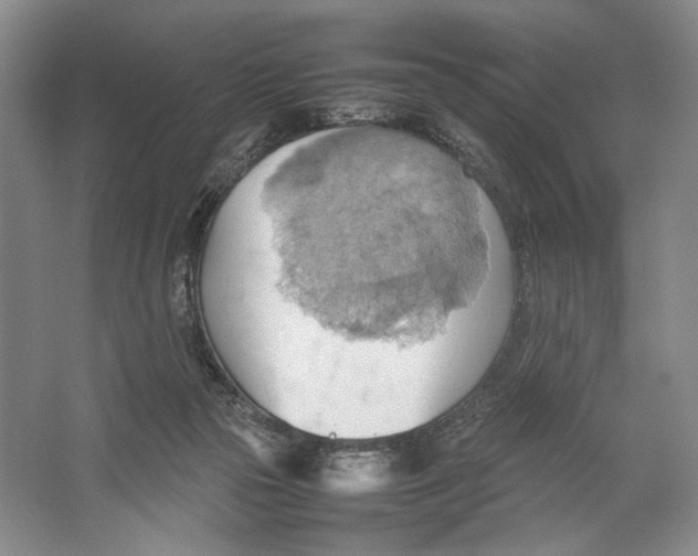 X0000064040169200602171653