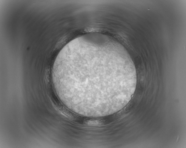 X0000064040171200602171653