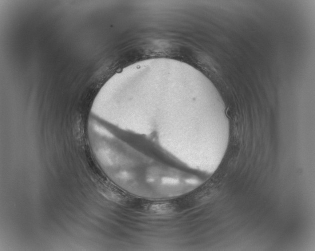 X0000064040173200602171654