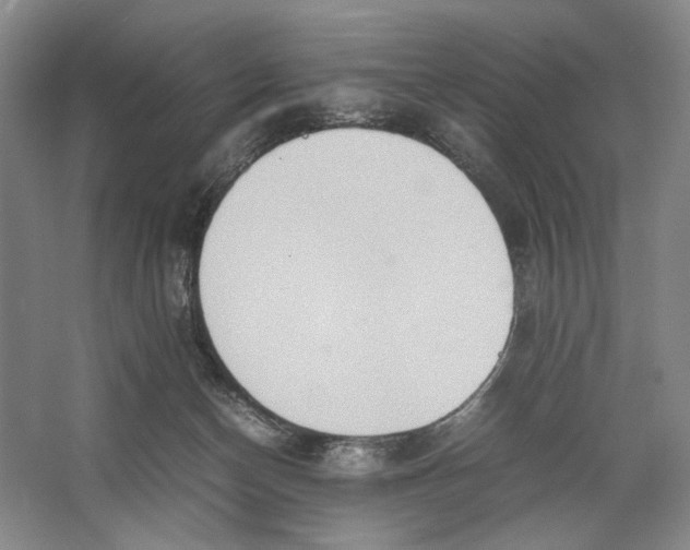 X0000064040174200602171654