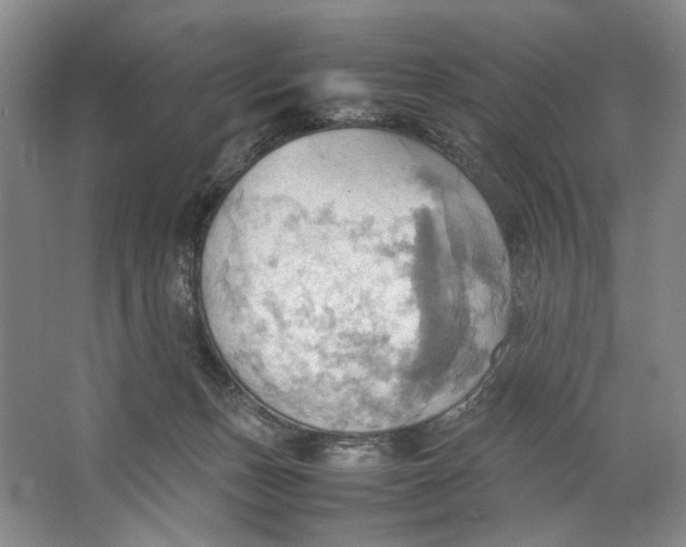 X0000064040175200602171654