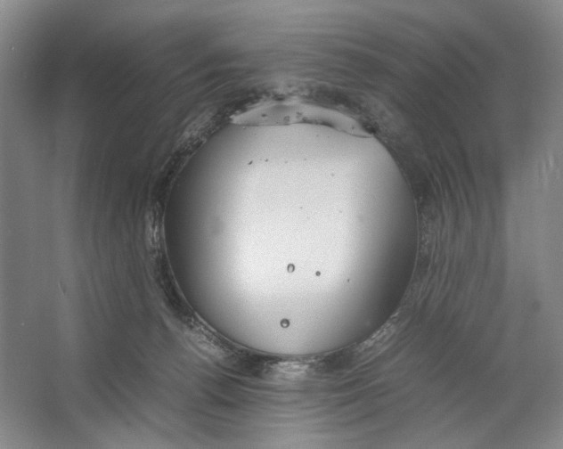 X0000064040176200602171654