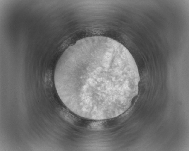 X0000064040178200602171654