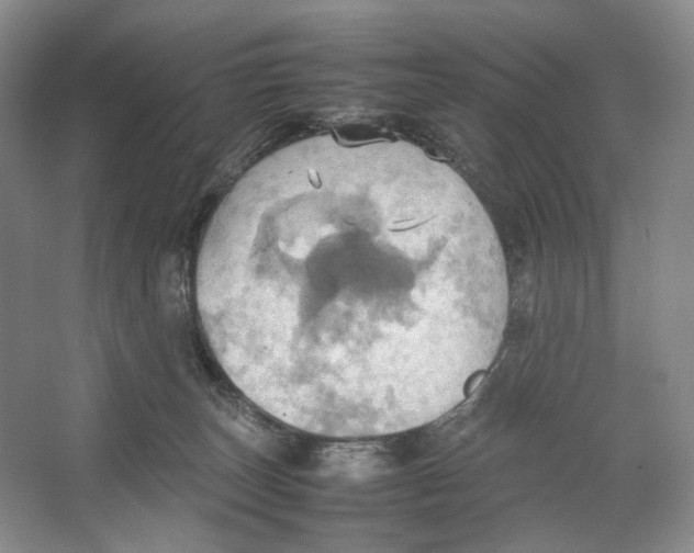 X0000064040179200602171654