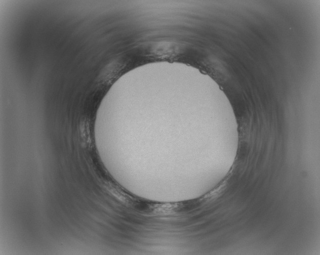 X0000064040182200602171654