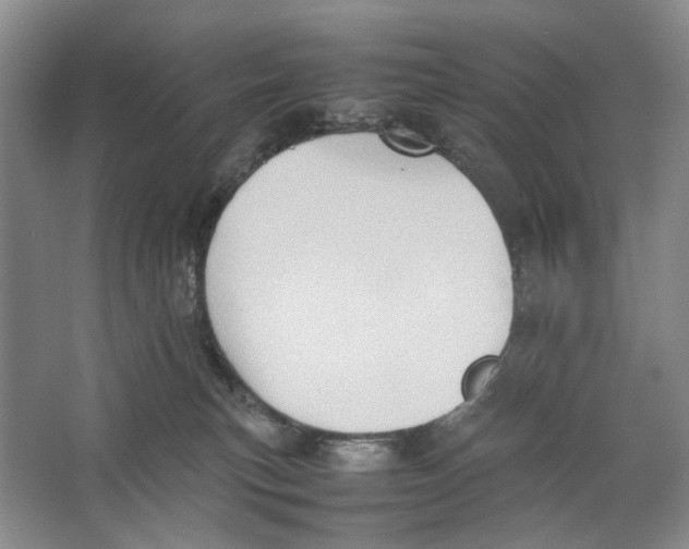 X0000064040183200602171654