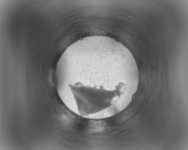 X0000064040185200602171654