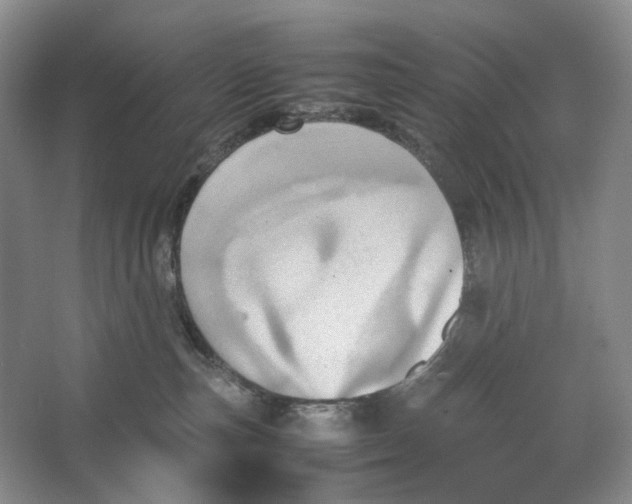 X0000064040187200602171654