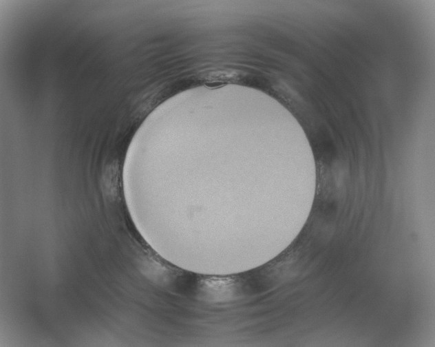 X0000064040189200602171654