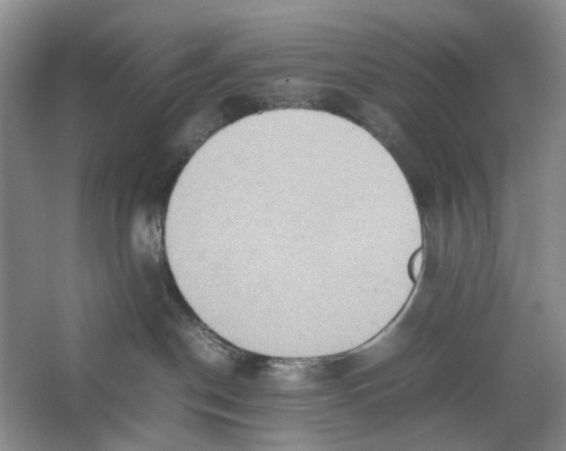 X0000064040190200602171654