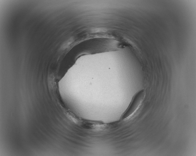 X0000064040192200602171654