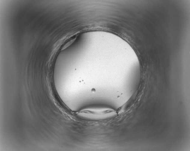 X0000064040193200602171653