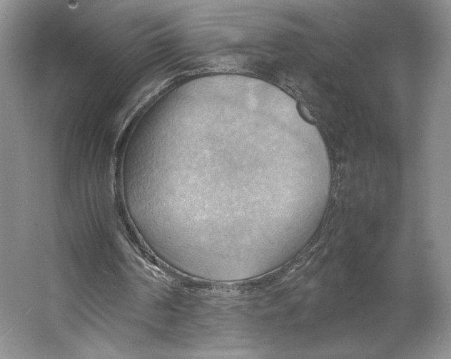 X0000064040194200602171653