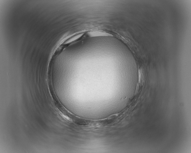 X0000064040195200602171653