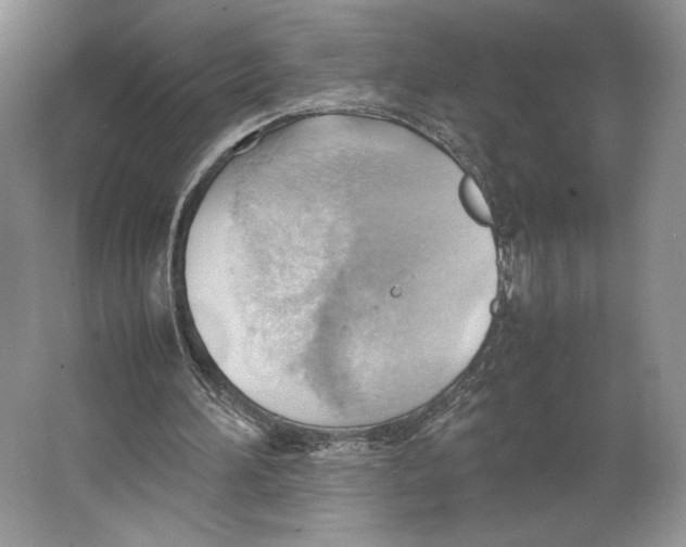 X0000064040196200602171653