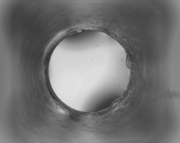 X0000064040197200602171653