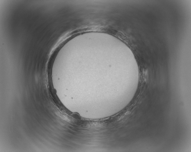 X0000064040198200602171653