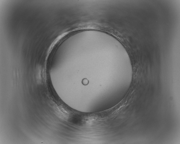 X0000064040200200602171653