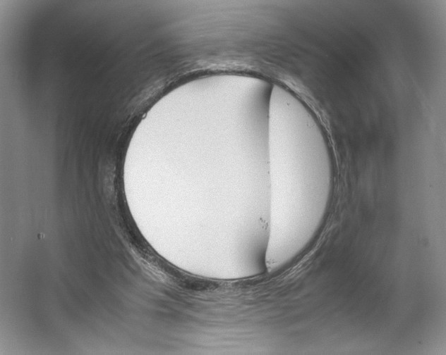 X0000064040201200602171653