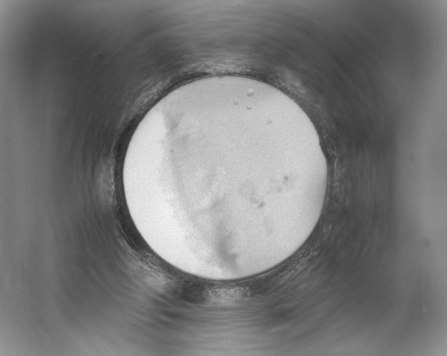 X0000064040202200602171653