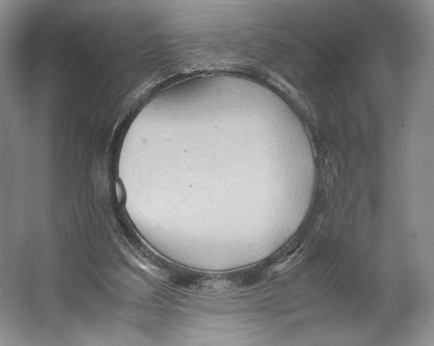 X0000064040203200602171653