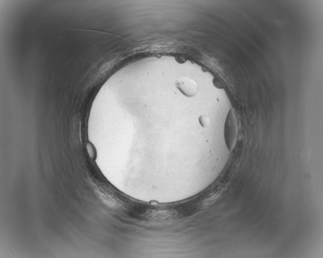 X0000064040205200602171653