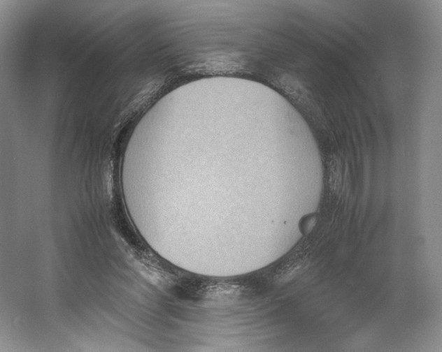 X0000064040206200602171653