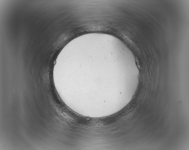 X0000064040207200602171653