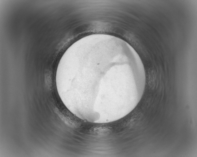 X0000064040208200602171653