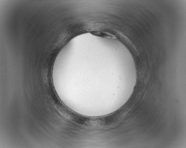 X0000064040209200602171653