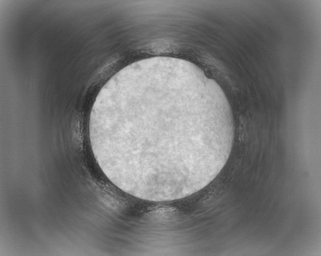 X0000064040210200602171653