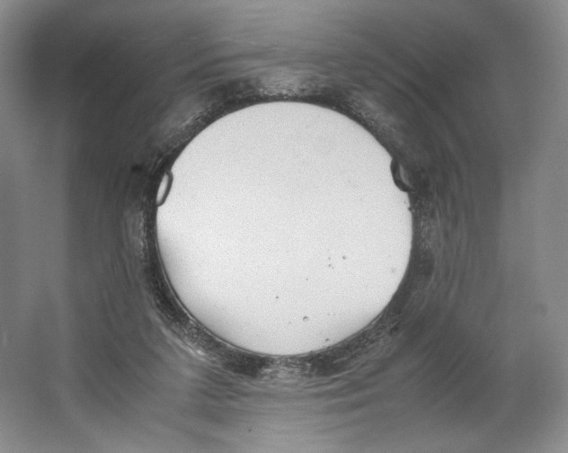 X0000064040211200602171653