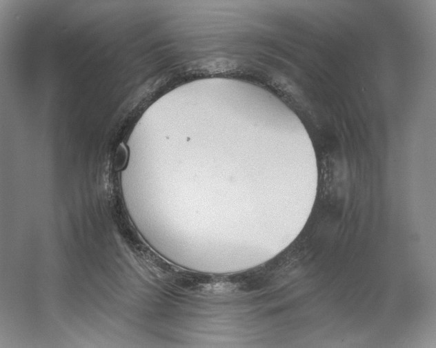 X0000064040212200602171653