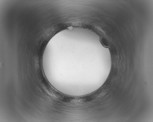 X0000064040213200602171653