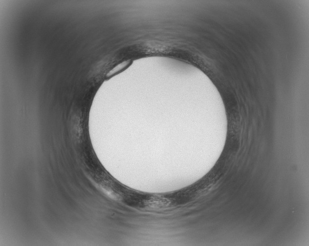 X0000064040215200602171653