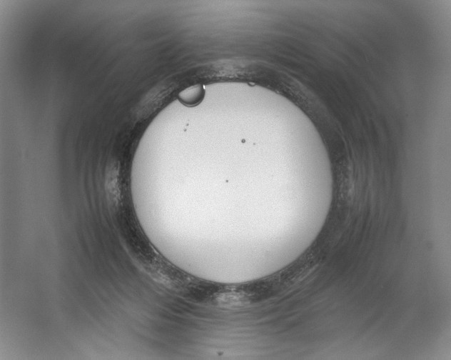 X0000064040216200602171653